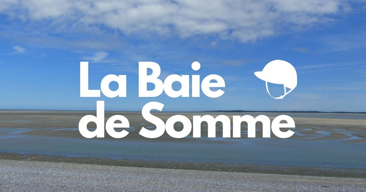 Baie de Somme à marée basse, vasières et bancs de sable à perte de vue sous un ciel d'été nuageux