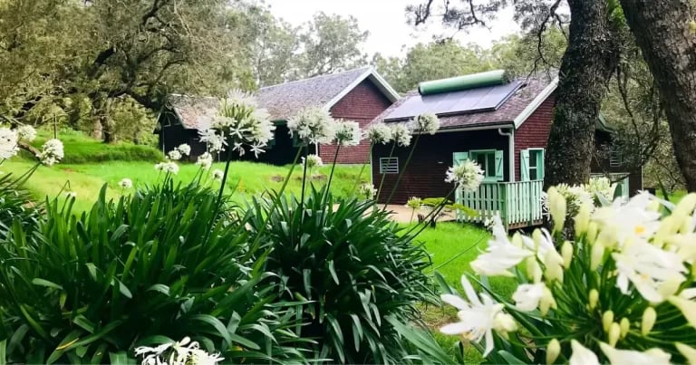 Gîte rural à La Réunion : maison créole rouge avec véranda, jardin fleuri d'agapanthes blanches, ambiance des Hauts