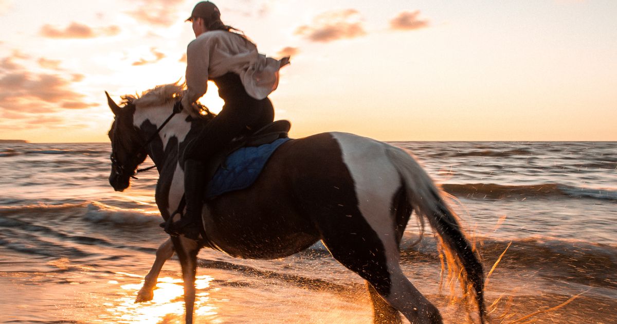 Cavalière au galop sur une plage au coucher du soleil, cheval pie noir et blanc et projections d'eau