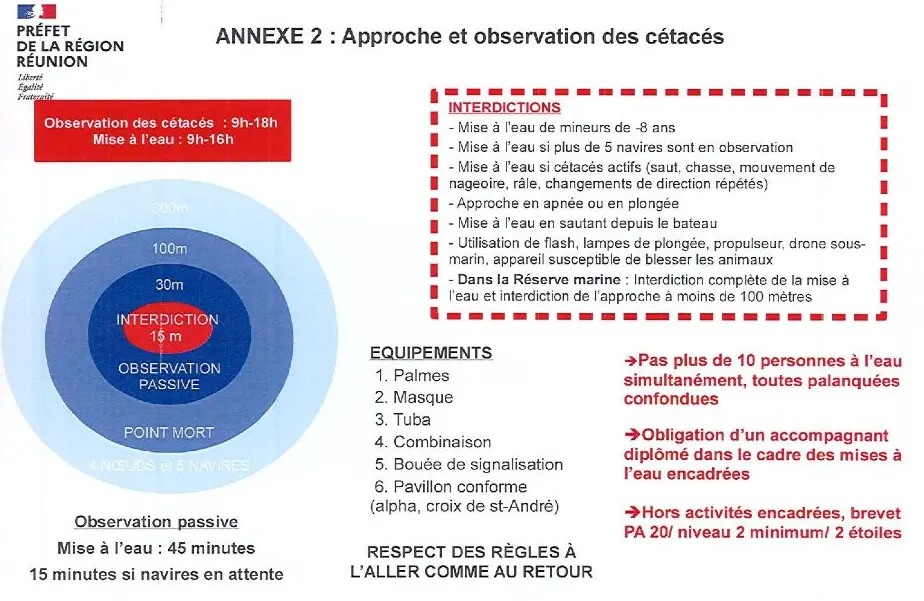 Schéma de l'arrêté préfectoral d'observation des cétacés à La Réunion : zones d'approche 100 m / 30 m / 15 m, interdictions et équipement