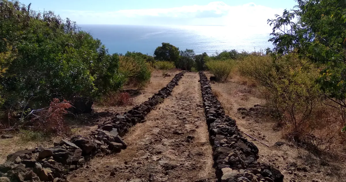 Le chemin Charrette Bœuf pavé dans les hauts de Saint-Paul, vue sur la savane et le lagon