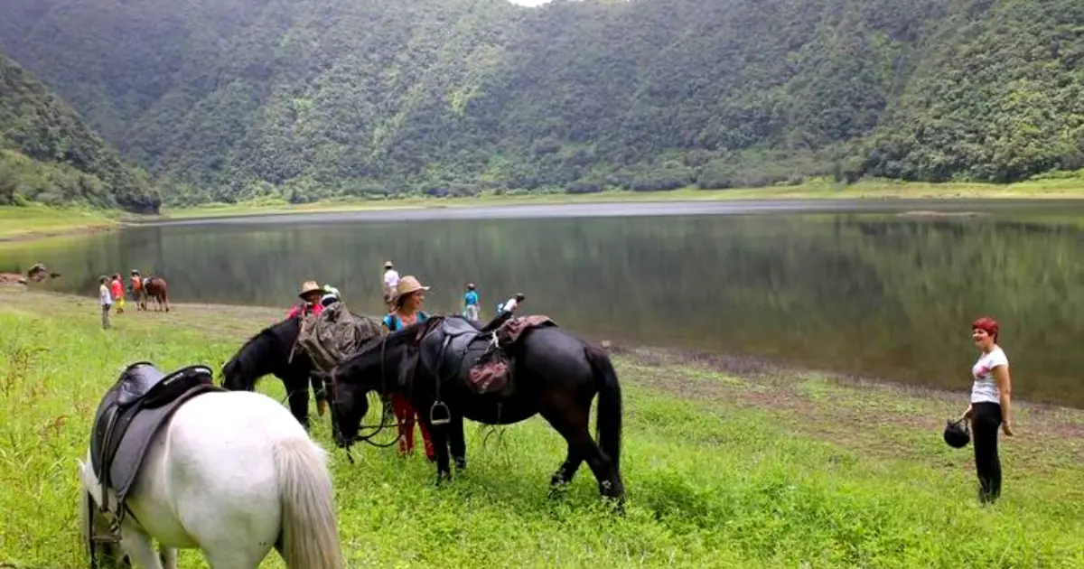 Randonnée à cheval autour du Grand Étang à Saint-Benoît, est de La Réunion