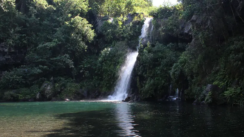 Cascade Jacqueline à Langevin dans le sud sauvage de La Réunion