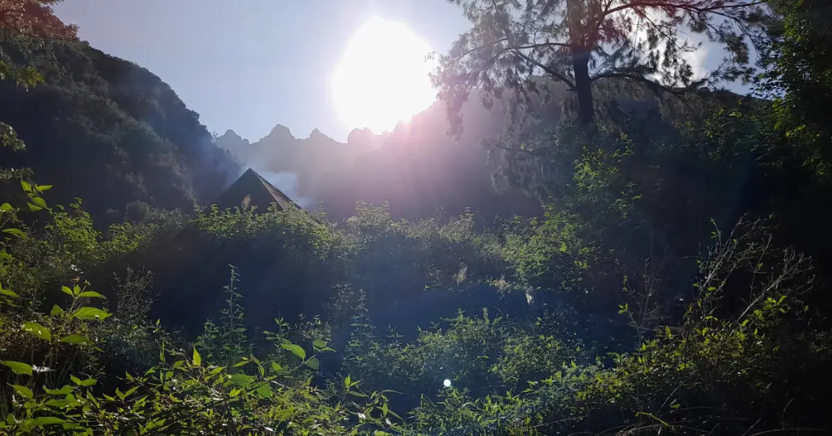 Tente plantée en bord de forêt au lever de soleil sur le sentier du col du Taïbit entre Cilaos et Mafate