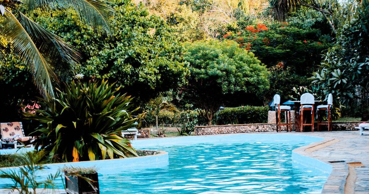 Piscine d'un hébergement avec cocotiers à proximité de Langevin