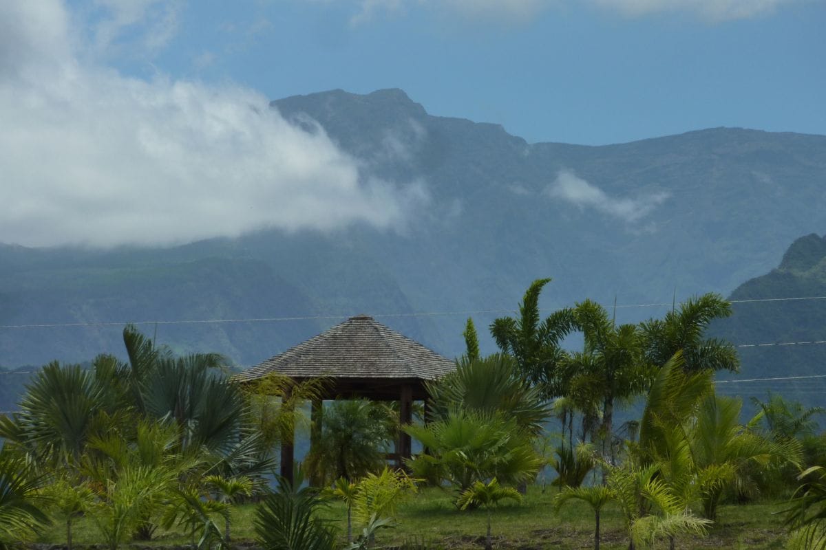 Kiosque en bois parmi les palmiers au parc des Palmiers du Tampon, montagnes des hauts dans les nuages