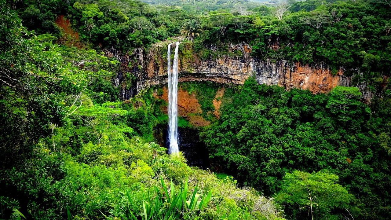 Cascade de Chamarel tombant dans une gorge couverte de forêt tropicale