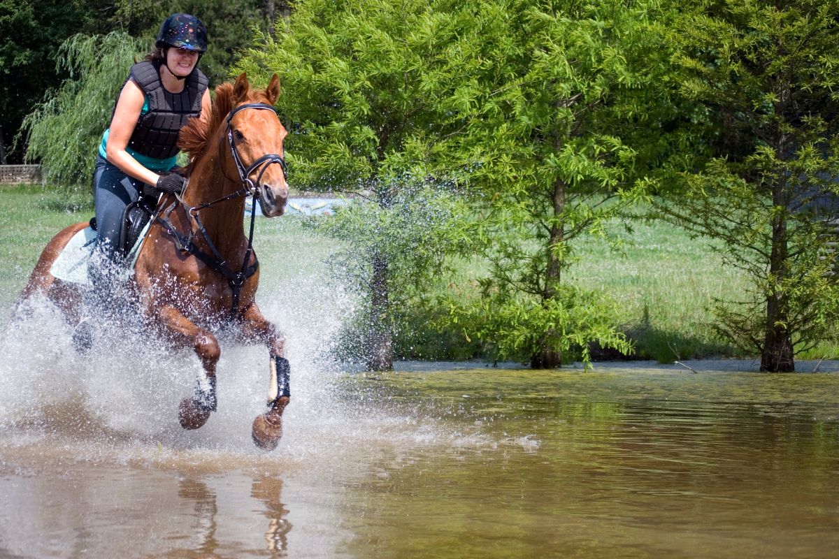 Cavalière au galop dans une rivière, traversée d'un gué avec éclaboussures