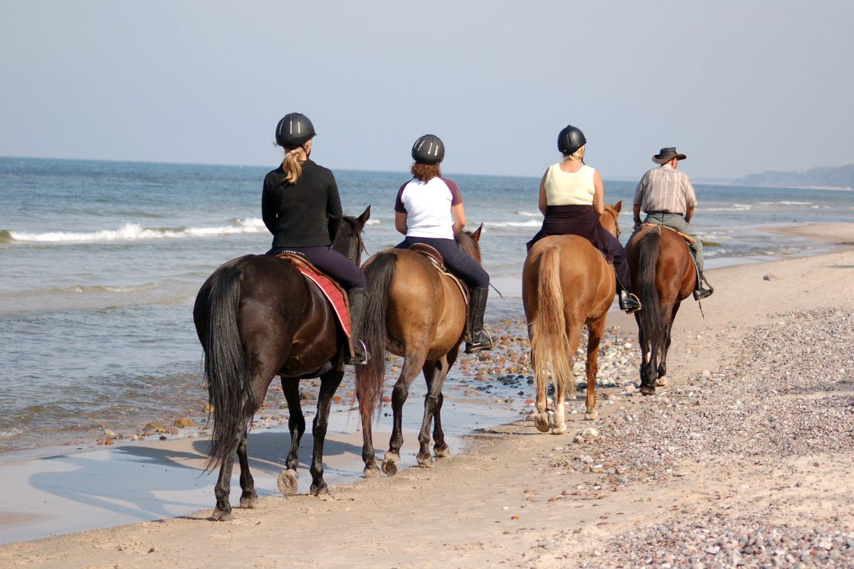 Quatre cavaliers en file le long d'une plage, balade équestre en bord de mer