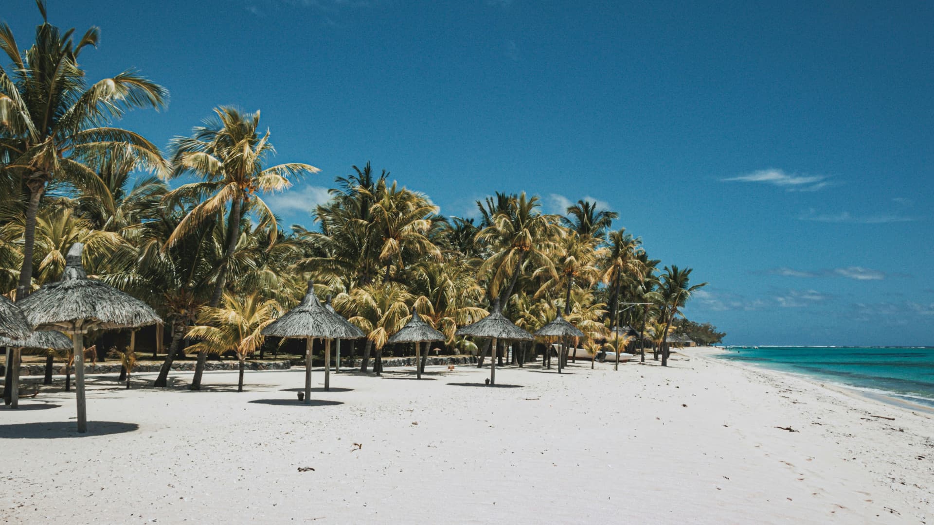 Longue plage de sable blanc bordée de paillotes et de cocotiers, lagon calme à l'île Maurice
