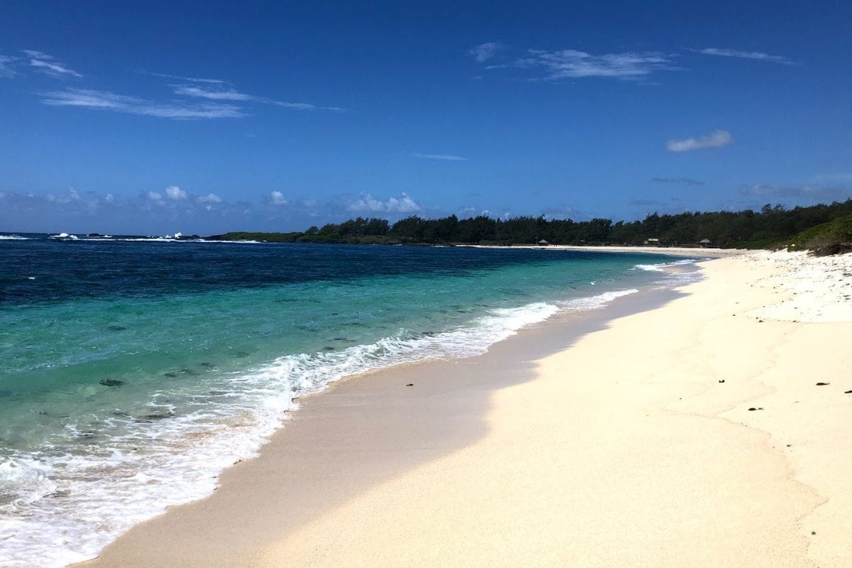 A long, almost empty golden beach with a turquoise lagoon and casuarina trees behind