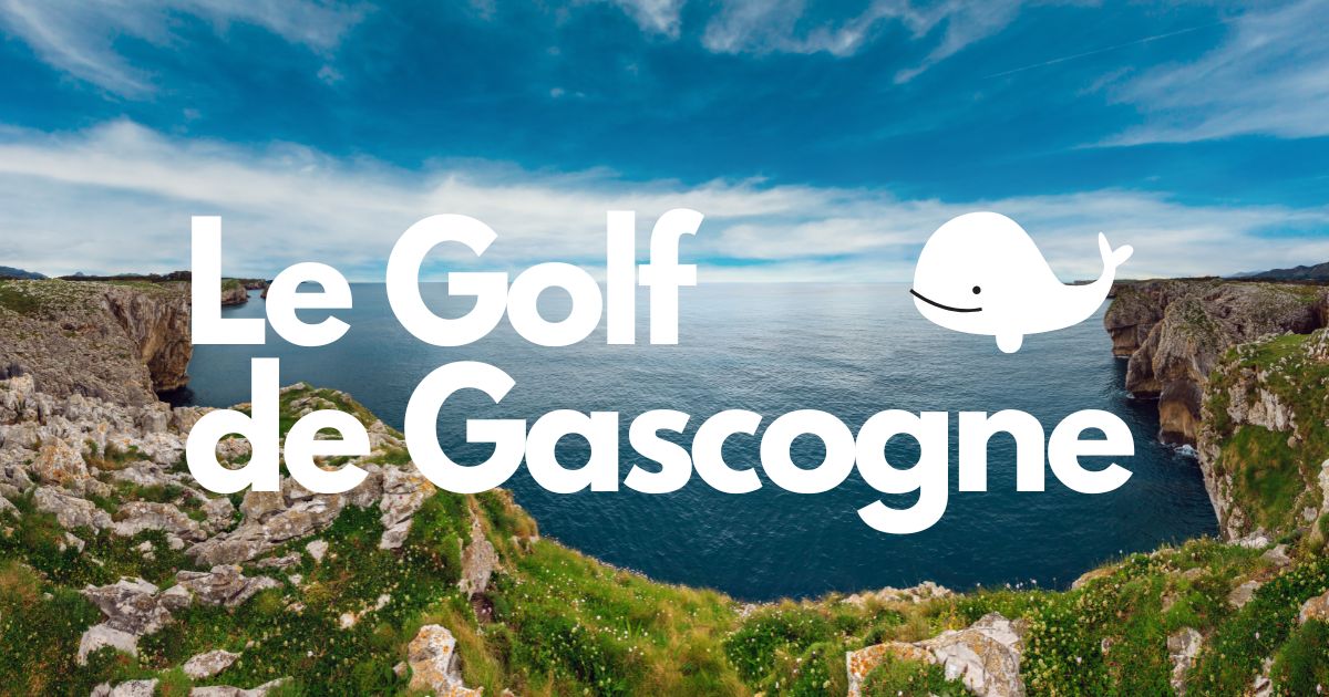 Côte du golfe de Gascogne avec falaises et océan, observation de cétacés en mer