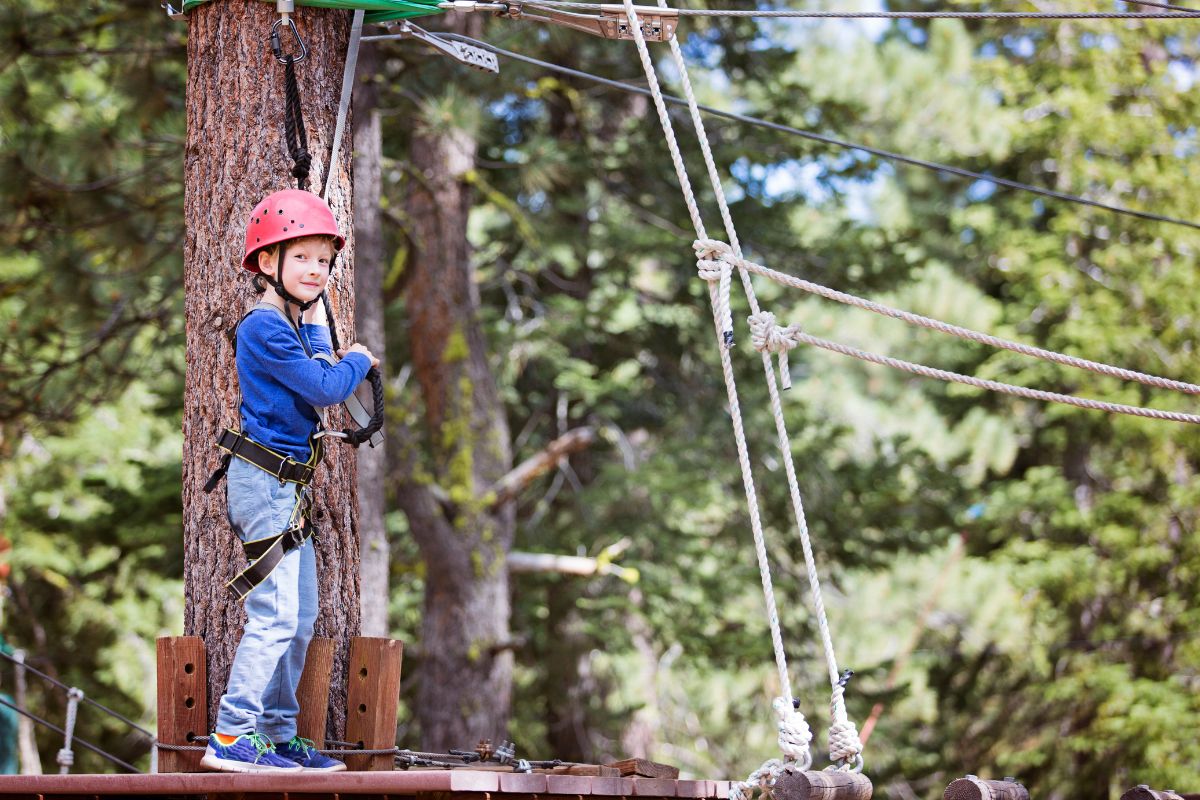A young boy on a tree-top adventure course, red helmet and harness, on a platform in the canopy
