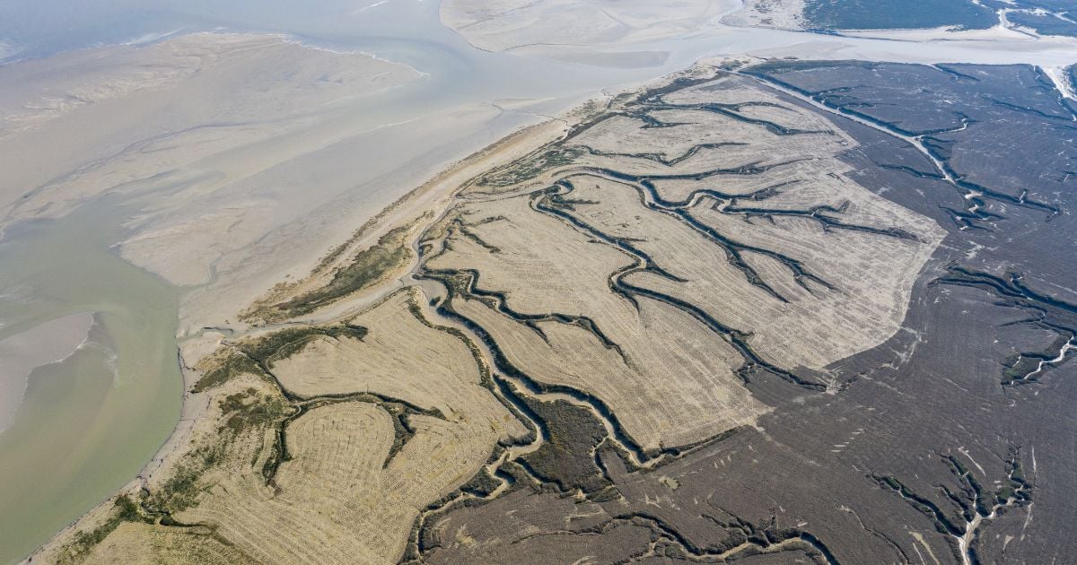 Vue aérienne de la Baie de Somme avec ses chenaux serpentant à travers les prés salés