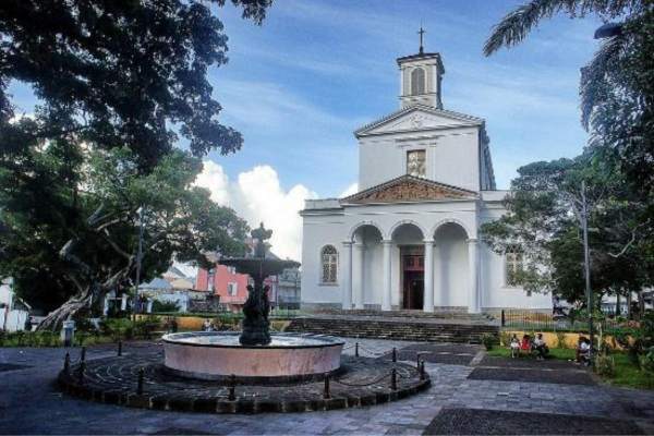 Saint-Denis cathedral and fountain under tropical trees