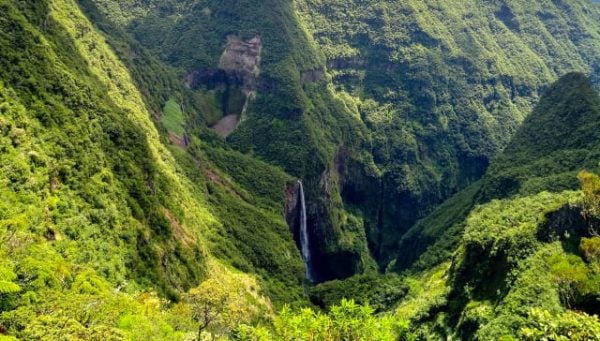 Vue plongeante sur le gouffre du Trou de Fer dans la forêt verte de Bélouve, cascade en arrière-plan