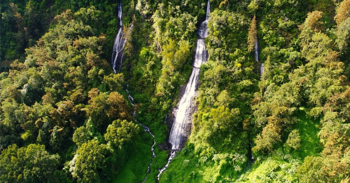 Vue aérienne des chutes du Voile de la Mariée dévalant la falaise couverte de forêt, dans le cirque de Salazie