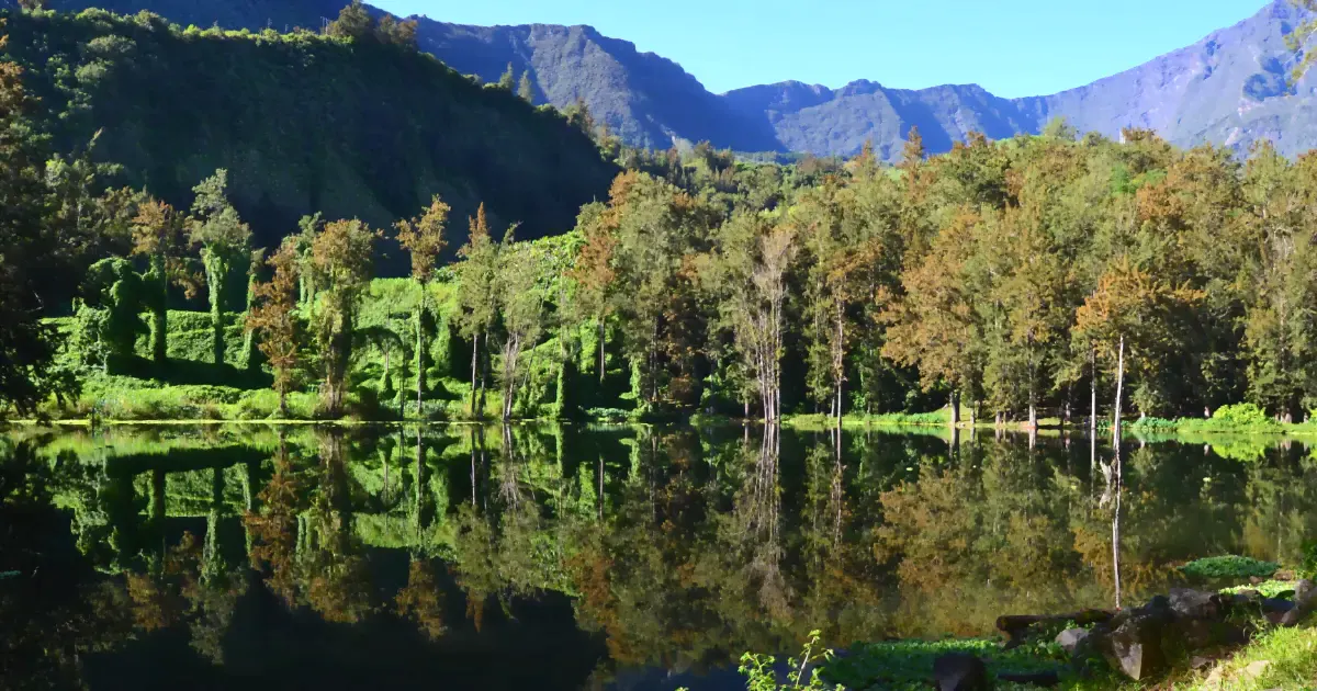Reflet des montagnes de Salazie dans la Mare à Poule d'Eau au lever du jour