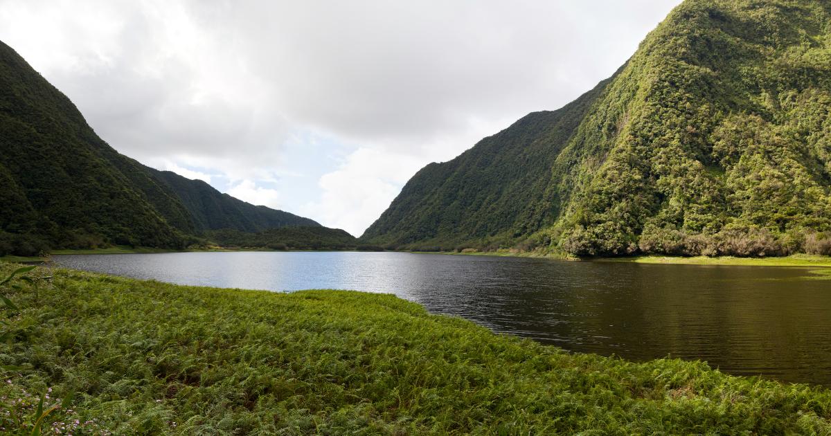 Grand Étang dans la forêt de Bébour à La Réunion en mai, lac entouré de montagnes verdoyantes sous un ciel doux