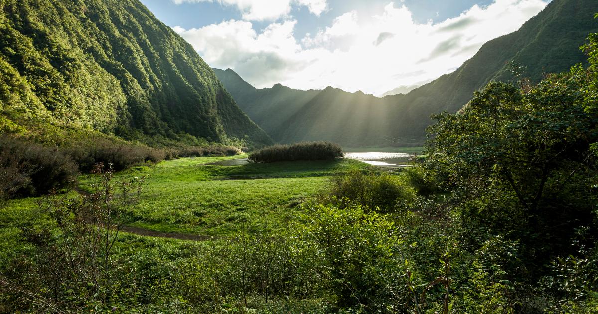 Vallée verte luxuriante de La Réunion en février, montagnes encerclant une rivière sous des rayons de soleil tropicaux