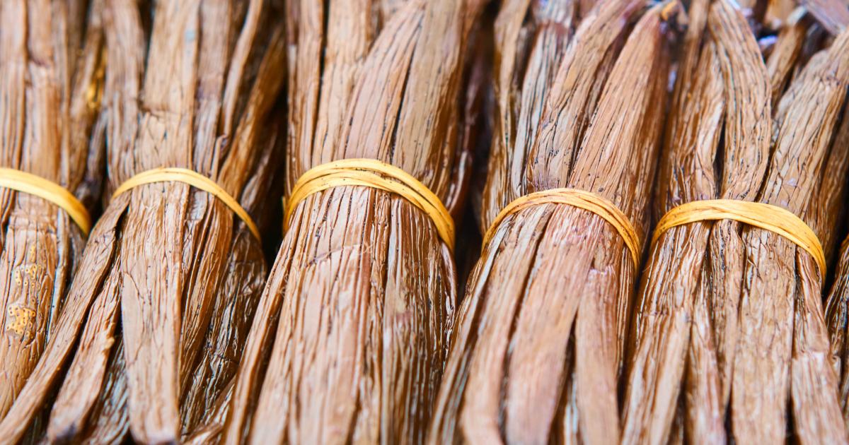 Gousses de vanille Bourbon de La Réunion attachées en bottes, spécialité de l'île produite dans la côte est
