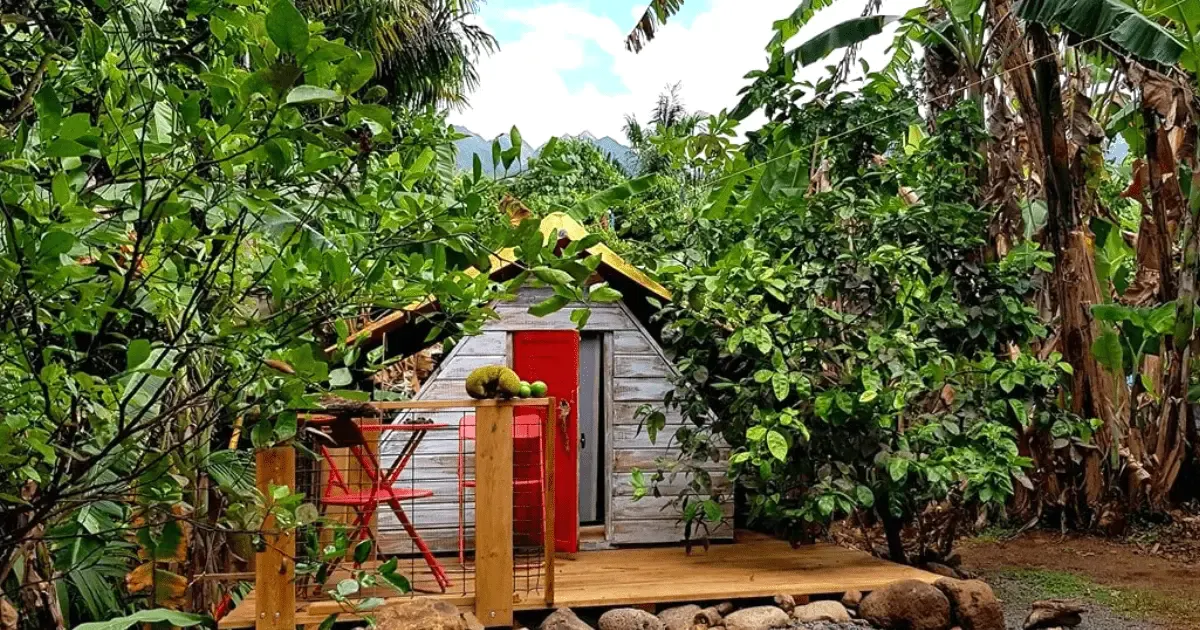 A small wooden hut with a red door in a lush tropical garden, in the village of Entre-Deux