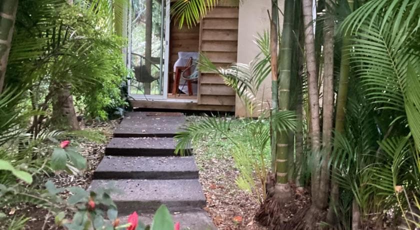 Marches de pierre menant à l'entrée du studio Le Niaouli entre bambous et plantes tropicales