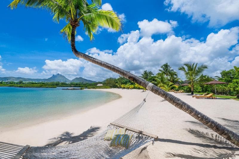 Plage de sable blanc et hamac sous un cocotier penché au Four Seasons Resort Mauritius at Anahita, montagnes au loin